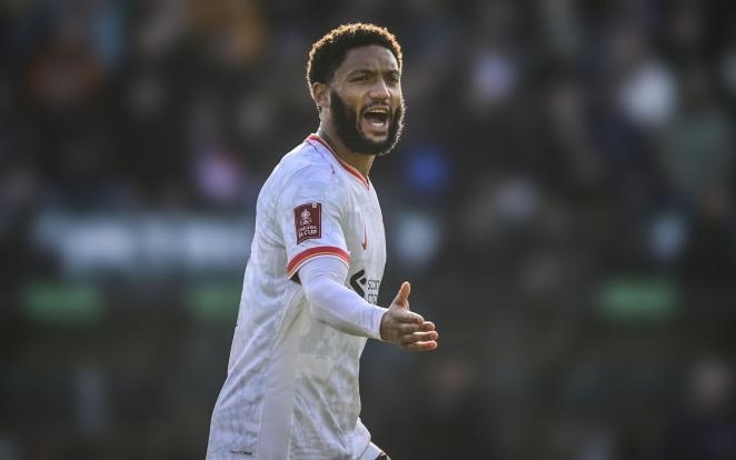 全能表现 全能表现